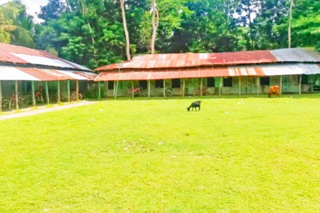 বরিশালের ৮ কলেজে ভর্তি হয়নি কোনো শিক্ষার্থী