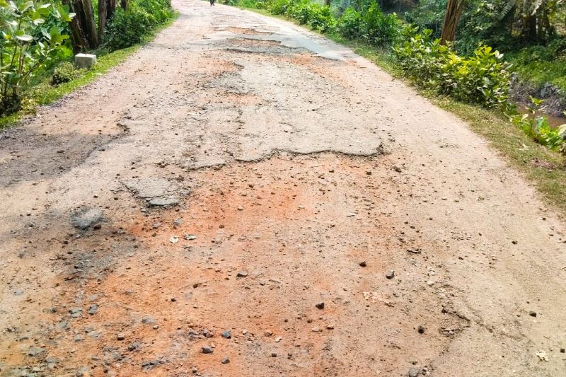 রাজাপুরে জীবনানন্দ সড়কের বেহাল দশা, দ্রুত সংস্কারের দাবী স্থানীয়দের