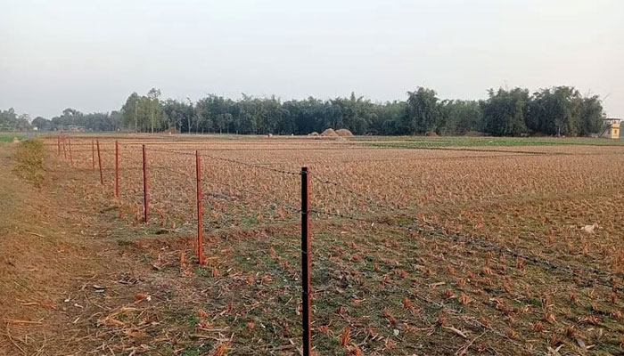 পাটগ্রাম সীমান্তে এবার বেড়া নির্মাণের চেষ্টা বিএসএফের : শিবগঞ্জের চৌকা সীমান্ত পরিস্থিতি স্বাভাবিক